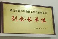重庆市典当行业协会第六届理事会 副会长单位