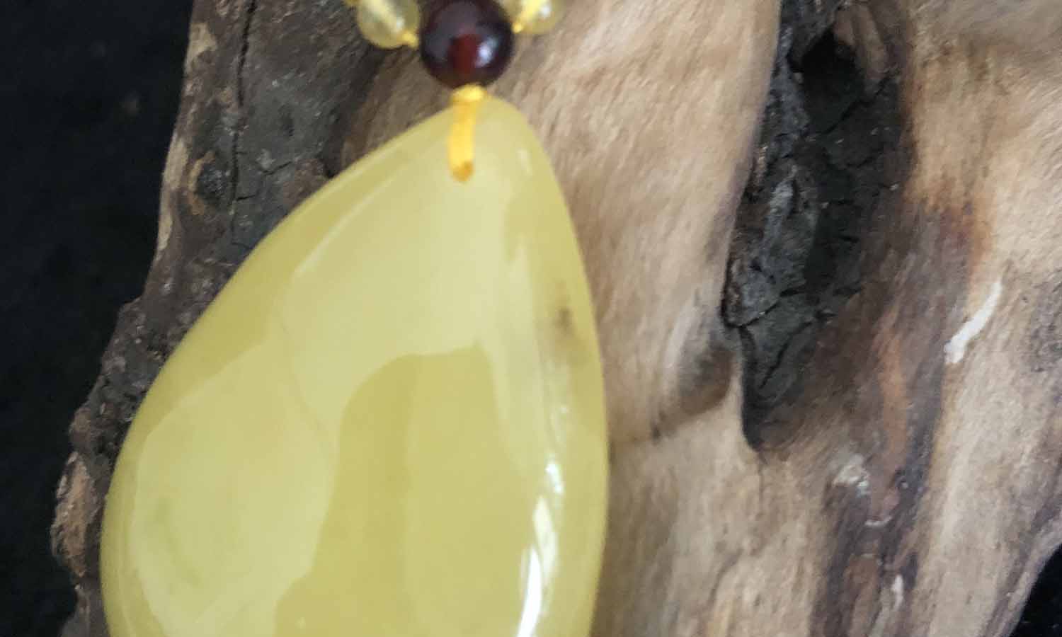 虫琥珀（鳞翅目）
